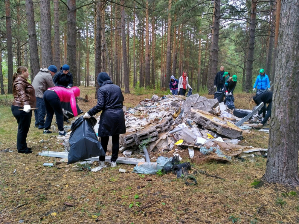 В Самаре грибники очистят лес от мусора