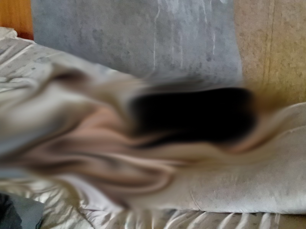 Спасатели Тольятти обнаружили мумию в квартире многоэтажки