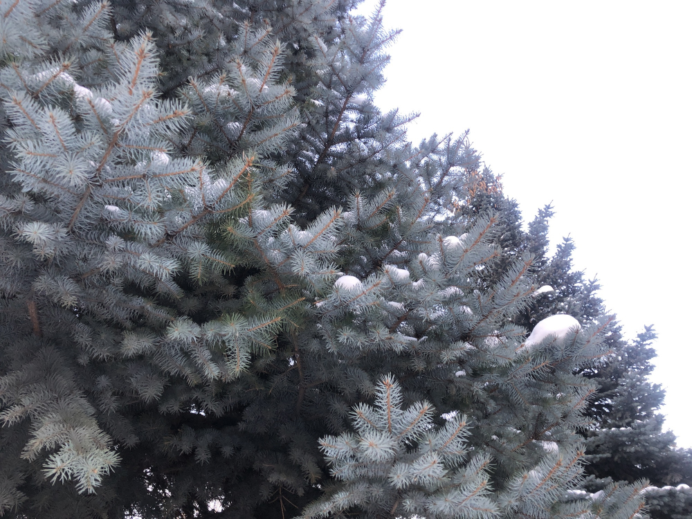 В среду в Самарской области ожидается сильный снег