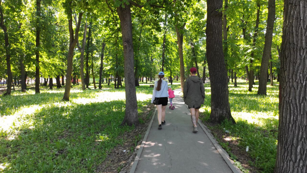 Парк 60-летия Советской власти в Самаре включили в зелёный пояс города