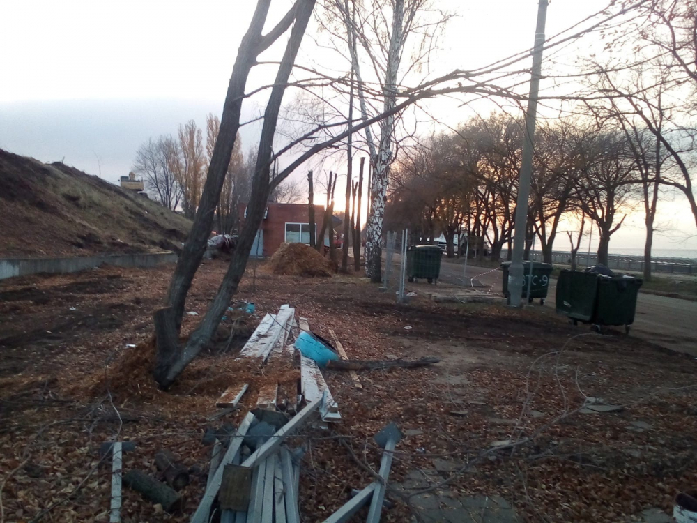 В Тольятти на набережной вырубают деревья под парковку