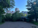 В Самаре на коляску с ребёнком упало дерево: возбуждено уголовное дело