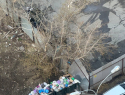 В Самарской области зафиксировали всплеск незаконных свалок