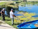 В Самаре спасают озеро Песчаное в парке Металлургов