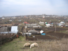 «Лучшие годы в Мусорке?»: откуда происходит неблагозвучное название села, которое предлагают переименовать