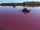 «Розовые озёра» в Самарской области становятся популярным туристическим объектом