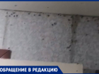 «Сидят на потолке и стенах»: жители Кировского района жалуются на нашествие тараканов