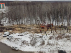 Местные жители нашли нарушения при вырубке леса в Новой Самаре 