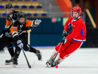 Что почём – хоккей с мячом: в Самарской области соревнования по зимнему виду спорта начнутся осенью 