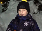 Долбил лёд ещё в садике: мальчик-дворник рассказал губернатору Самарской области о планах на жизнь