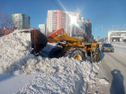 «Не ждите следующего снегопада!»: Елена Лапушкина обратилась к управляющим компаниям