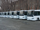 7 марта в Самаре запустят два новых автобусных маршрута 