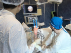 Самарские врачи провели одну из самых редких операций пациенту с травмой кистевого сустава