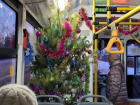 В тольяттинском троллейбусе установили новогоднюю ёлку
