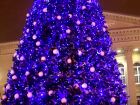 «Наконец-то она – ра-а-адует!»: в Кировском районе Самары для жителей поставили необычную фиолетовую ёлку