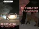 Подростков-живодеров, убивших лису под Тольятти, накажут по еще одной статье 