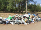 На одном из любимых пляжей самарцев на берегу реки Сок растут горы мусора