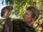 «Специально кадры не ловлю»: учитель физики из Елховского района делает смешные и трогательные фото животных и птиц 