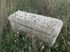 На заброшенном кладбище в Сызрани, где захоронена история Первой мировой, орудуют вандалы