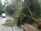 Последствия урагана в Самарской области: у 6 зданий сорвало крышу, упало 59 деревьев, 3 человека пострадали