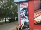 Жители Тольятти жалуются на пьяных и голых посетителей пивной