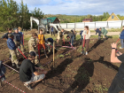Завершены 4-летние исследования селища Жигулёвск II в Самарской области