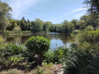«Прекрасное место, чтобы отключать голову и релаксировать»: самарский блогер Игорь Кондратьев прогулялся по Ботаническому саду