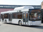 Горбатые и белые: в Самару прибыли новые автобусы