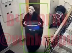 Внучка экс-мэра Самары Тархова готовилась к его убийству 