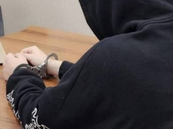 В Чапаевске будут судить живодёров, замучивших до смерти дворовую собаку