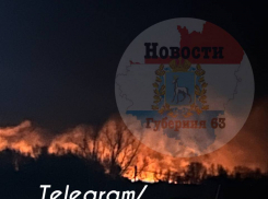Сильный лесной пожар разгорелся около поселка Смышляевка 31 марта 