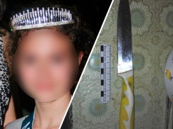 Била в жизненно важные органы: как самарская отличница расправилась с мамой и сестрёнкой