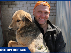Собачий приют в Козелках перешёл к новым хозяевам