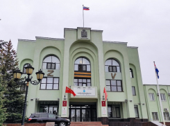 В мэрии Самары прокомментировали жалобы жителей улицы Куйбышева на вырубку деревьев