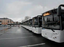 Самарская область подала заявку в Минтранс РФ на 159 новых автобусов