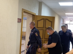 В Самаре арестовали предполагаемого заказчика убийства сызранского депутата