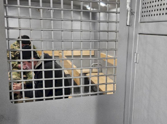 В Самаре мигрант с женой жили в деревянной постройке, скрываясь от полиции
