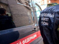 В Самаре после нападения стаи дворовых собак на ребёнка возбуждено уголовное дело