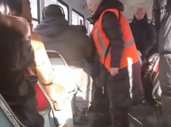 Угрожала убить: в самарском троллейбусе мужчина попал под горячую руку кондуктора