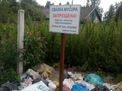 Мусор высыпали под дверь: в Самаре глава района проучил несознательных граждан