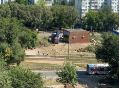 «Всю Самару превратили в пустыню»: самарцы пожаловались на вырубку деревьев на Ташкентской улице