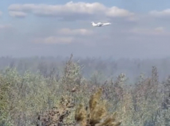 Все очаги возгорания в тольяттинском лесу локализованы