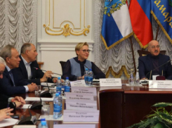 7 детсадов и 2 школы: Елена Лапушкина представила в Общественной палате результаты работы на посту мэра