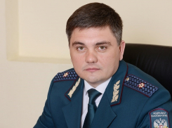 «Отличник ФНС России»: в Самарской области назначен новый руководитель УФНС