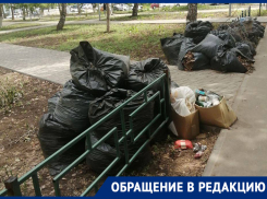 «Зачем народ сгоняли?»: по итогам субботника на Ново-Садовой во дворе у детского сада появилась свалка