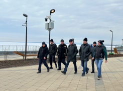 Николай Ренц проверил тольяттинскую набережную после схода снега