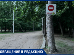 «Просто достали!»: жители Самарской области жалуются на квадроциклы в лесах