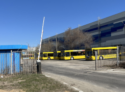 «Транспорта нет!»: Кошелев парк, Тольятти и Сызрань страдают от нехватки транспорта 