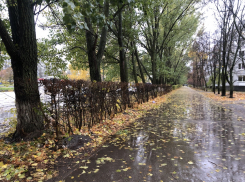 Потепление и дождь: в четверг погода в Самаре переменится 
