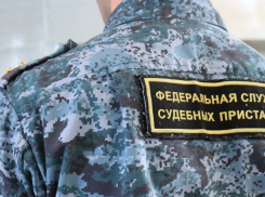У владельцев овчарки арестовали авто за нападение их собаки на ребёнка